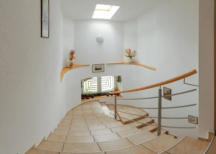 게스트하우스 Rohrwald